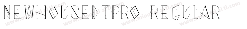 NewhouseDTPro Regular字体转换